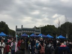 -武汉大学-樱园