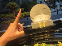 -广州白天鹅宾馆