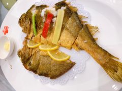 -骏莱海鲜鱼港(五角场店)