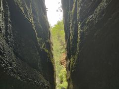 -梭布垭石林景区