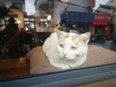 -B.O.M波姆烘焙(凤凰街店)