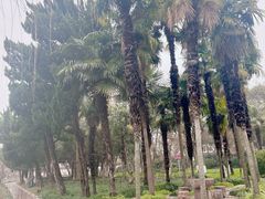 -狼山风景名胜区