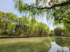 -同里国家湿地公园