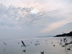 -深圳湾公园(南山区)