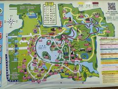 -上海野生动物园