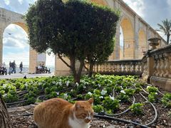 -上巴拉卡花园和下巴拉卡花园