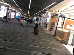 -王权免税店(廊曼机场店)