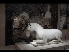 -宁夏博物馆