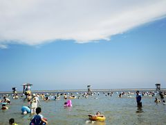 -碧海金沙