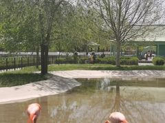 -秦皇岛野生动物园