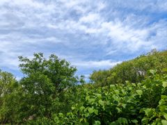 -永定河休闲森林公园