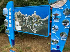 -广东惠东海龟国家级自然保护区