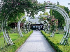 -昆山城市生态森林公园