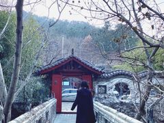 -老张烤羊(王哥庄店)