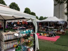 -秀丽东方