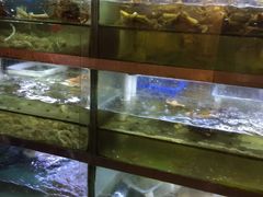 水产区-桥东喜碧海鲜街(水东街店)