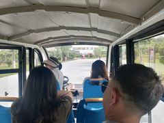 -洪湖湿地生态园