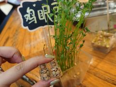 -饵块食光·云南有机手作饵块