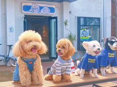 -小意思咖啡店(草桥店)