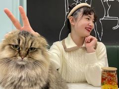 -安格丽娜·狗咖·猫咖羊驼咖(春熙路百盛商场店)