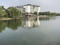 -顺德职业技术大学