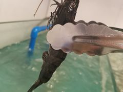 -蛙太牛牛肉海鲜自助火锅(台江万达店)