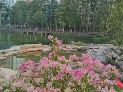 -四海公园(南山区)