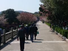 -无锡市乌鹤山公墓办事处