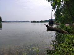 -东湖落雁景区