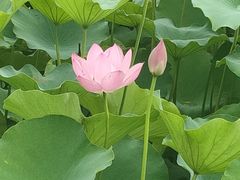 -黄兴公园