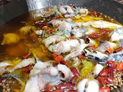 水煮乌江鱼-雲蜀龙阁·金牌水煮鱼(方庄店)