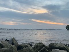 -宝安西湾红树林湿地公园