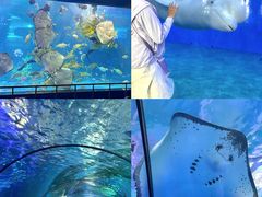 -泉城欧乐堡海洋极地世界