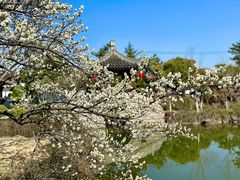 -尚湖风景区