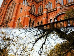 -上海佘山国家森林公园天马山园