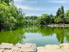 -太平洋海底世界