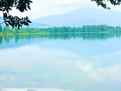 -西昌邛海湿地