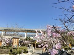 -华山御温泉度假村