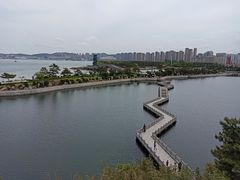 -莫内艺术岛海景咖啡