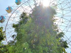 -揭东万竹园旅游景区