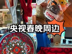 -中央广播电视总台(光华路办公区)