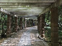 -采石矶景区