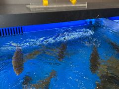 -鹿其林酒家(大学城店)