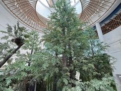 -同里国家湿地公园
