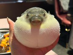 -肆月河豚·新淮扬菜·烤鸭(中关村店)