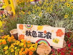 -北京十三陵国家森林公园蟒山景区