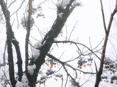 -九峰山