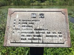 -芒洲湿地公园
