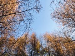 -秦岭风景区
