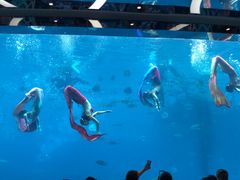 -瑞德姆美人鱼海底演艺主题餐厅(亚龙湾店)